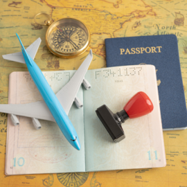 Visa Consultation: 90 Minutes